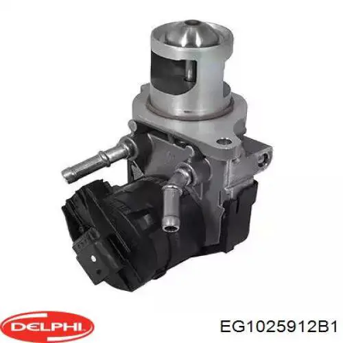 Купить EG1025912B1 Delphi Клапан EGR системы рециркуляции отработавших газов