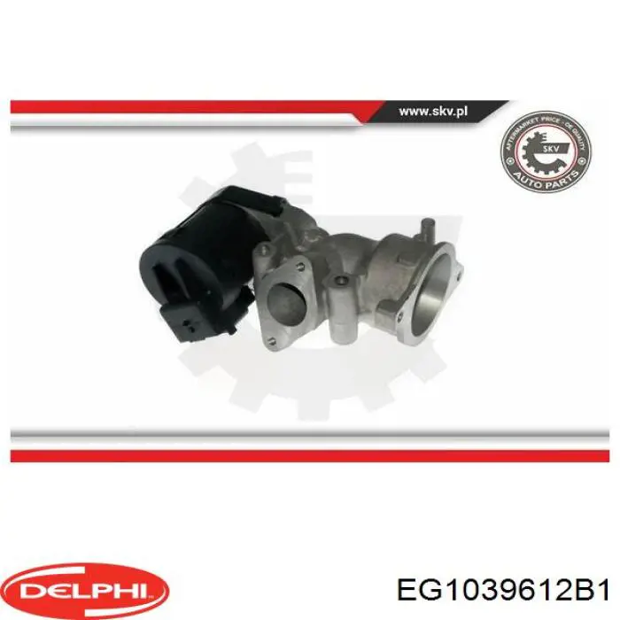 EG1039612B1 Delphi Клапан рециркуляции отработавших газов EGR