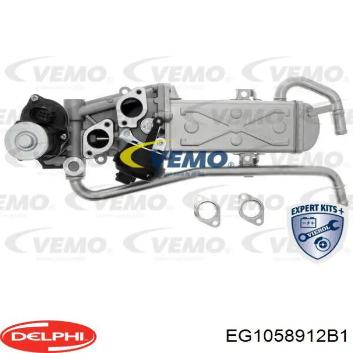 Купить EG1058912B1 Delphi Радиатор системы EGR