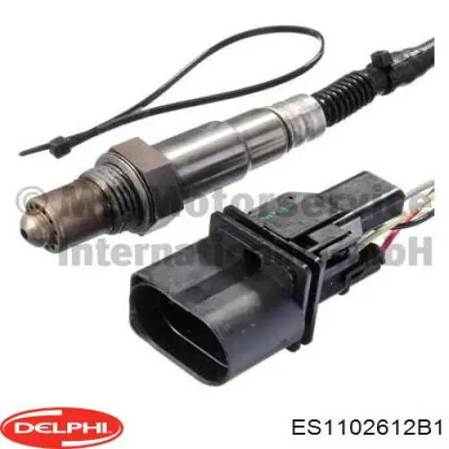 ES1102612B1 Delphi