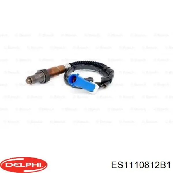  ES1110812B1 Delphi