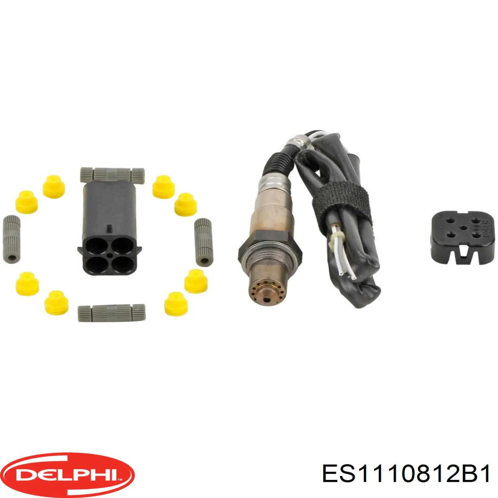 ES1110812B1 Delphi 