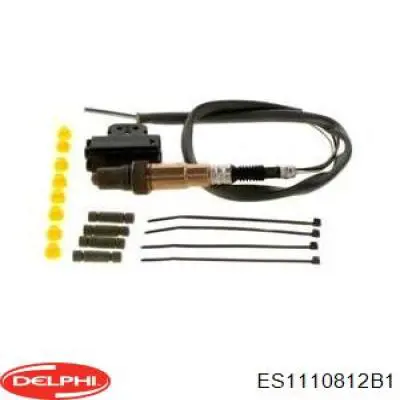 Купить ES1110812B1 Delphi 