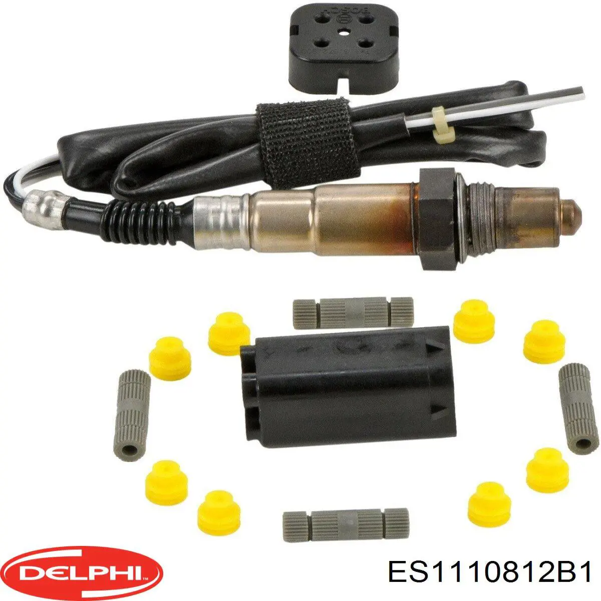  Delphi ES1110812B1