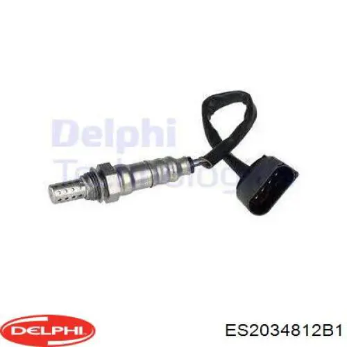  ES2034812B1 Delphi