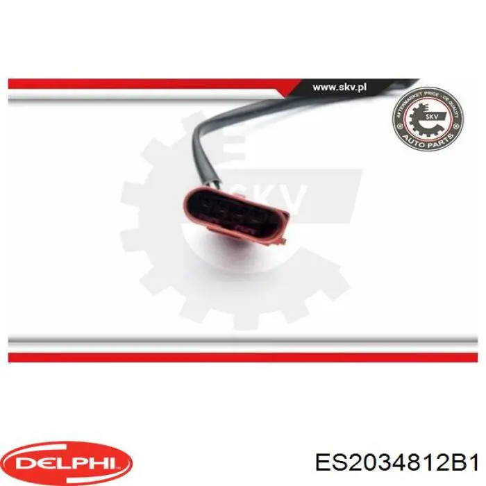 ES2034812B1 Delphi 