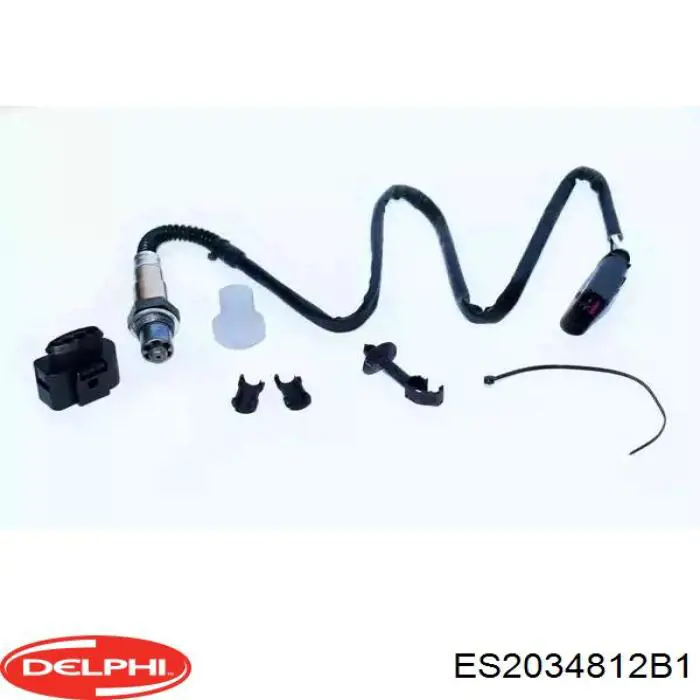 Купить ES2034812B1 Delphi 