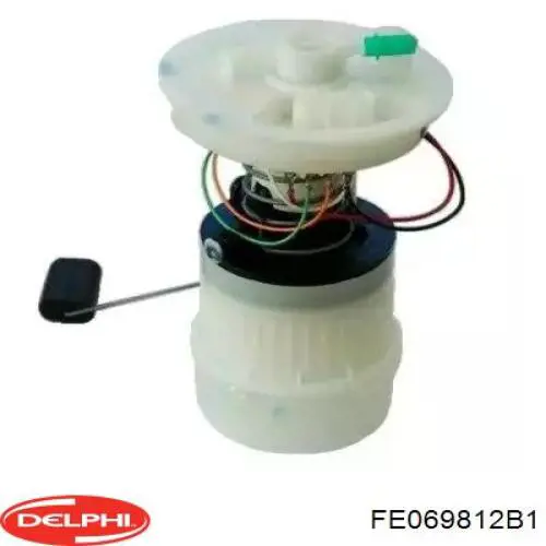 FE069812B1 Delphi