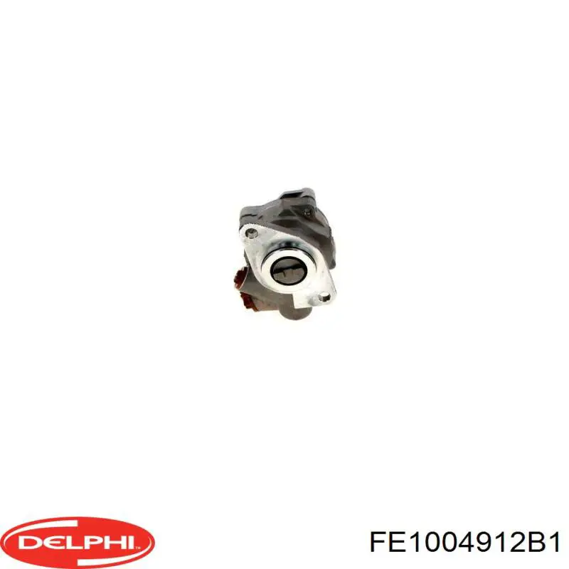 Бензонасос FE1004912B1 Delphi