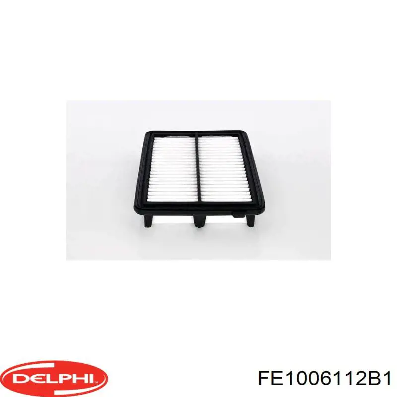 Купить FE1006112B1 Delphi Модуль топливного насоса
