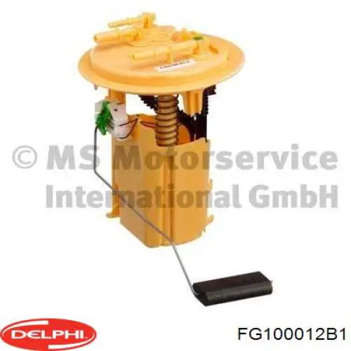 FG100012B1 Delphi 