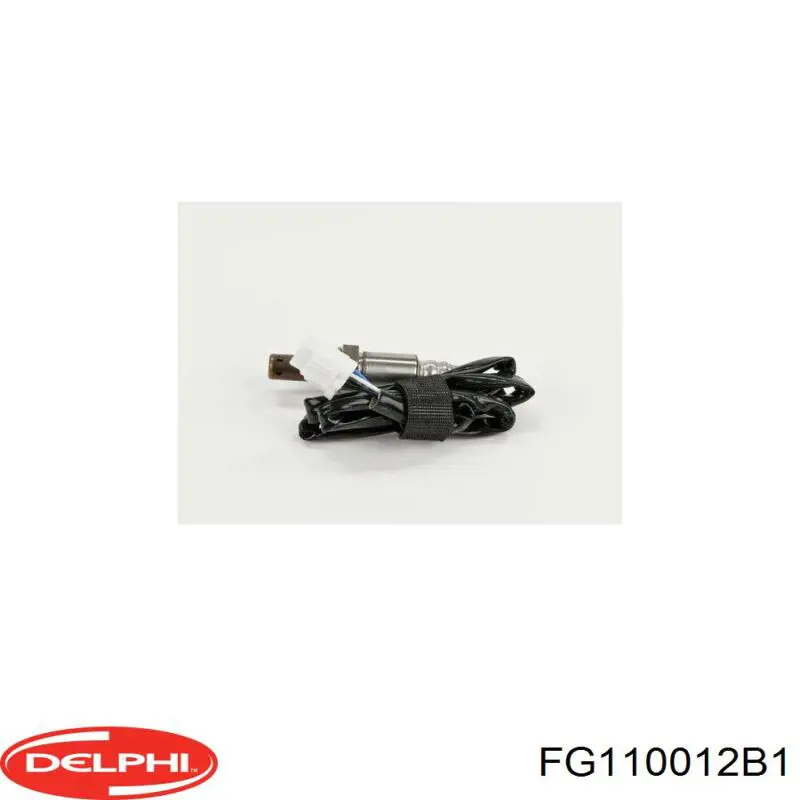 Купить FG110012B1 Delphi Модуль топливного насоса