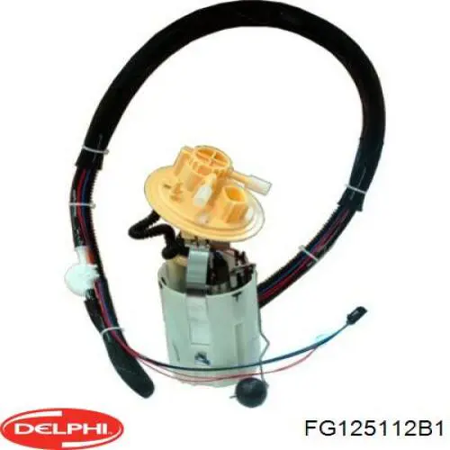 Купить FG125112B1 Delphi Модуль топливного насоса