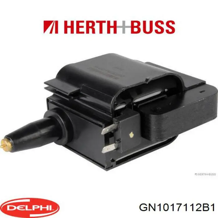 Купить GN1017112B1 Delphi Катушка зажигания