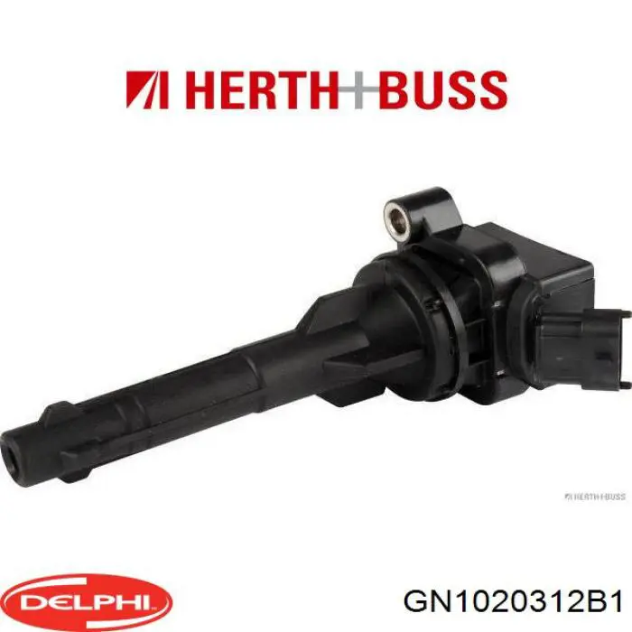 Купить GN1020312B1 Delphi Катушка зажигания