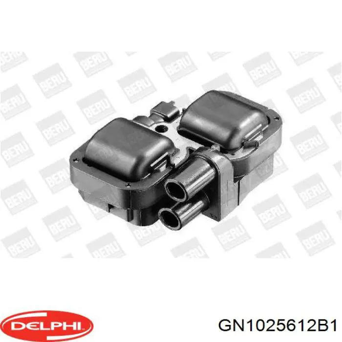 Катушка зажигания GN1025612B1 Delphi
