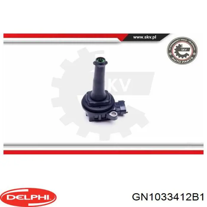 Модуль зажигания Delphi GN1033412B1 цена, от 36.39 USD