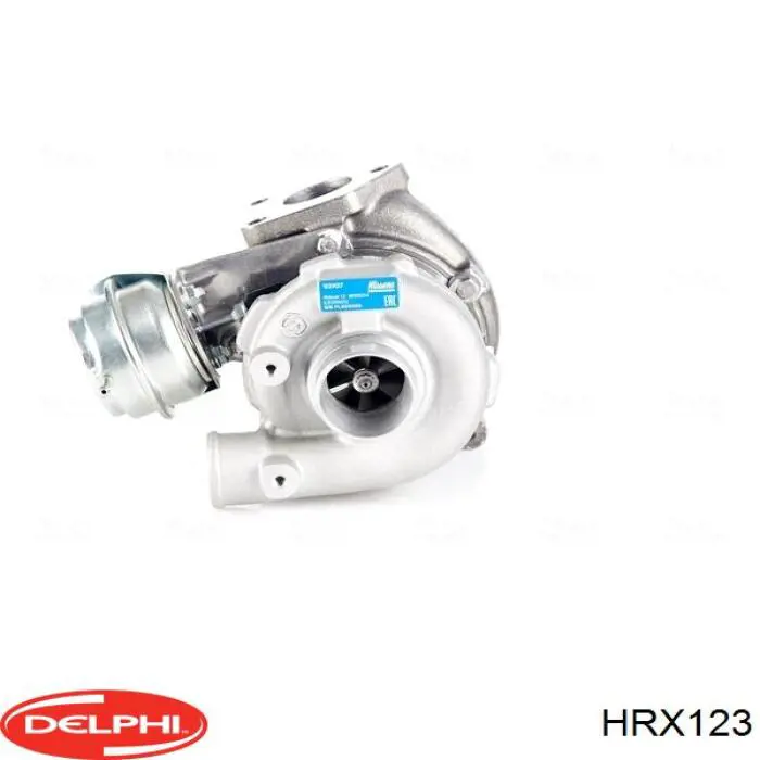 HRX123 Delphi