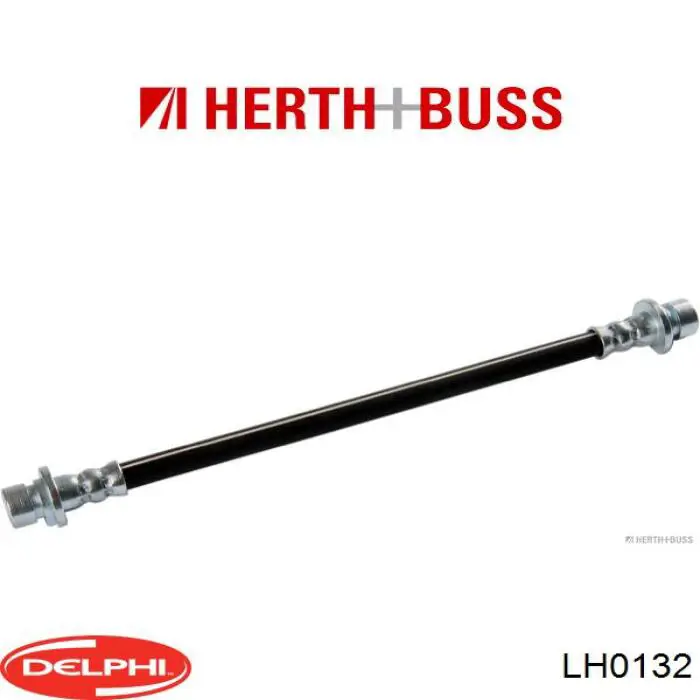 LH0132 Delphi