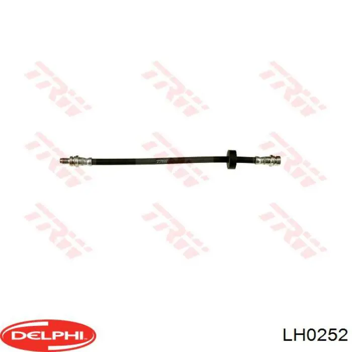 LH0252 Delphi