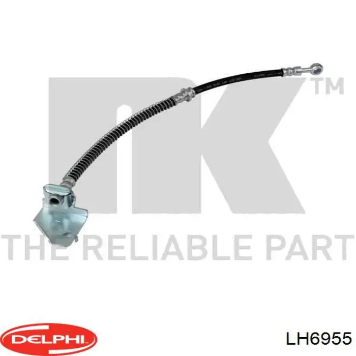 LH6955 Delphi