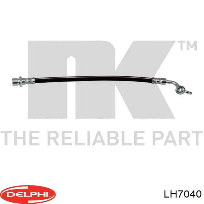 LH7040 Delphi
