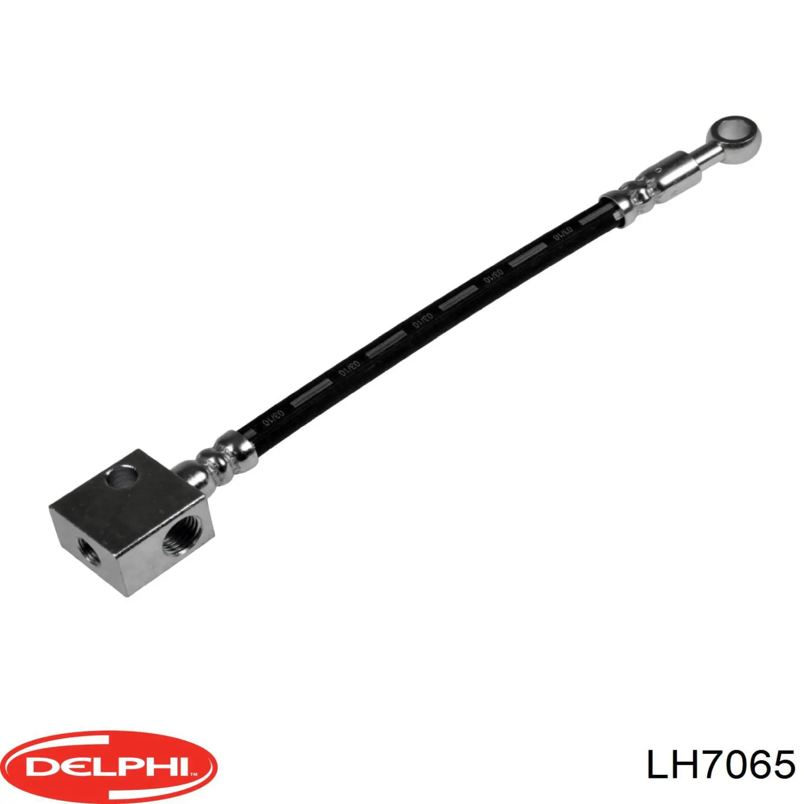  LH7065 Delphi