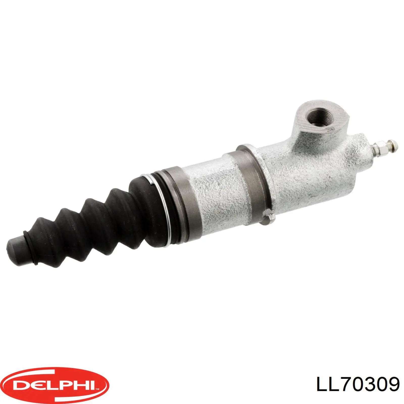 LL70309 Delphi