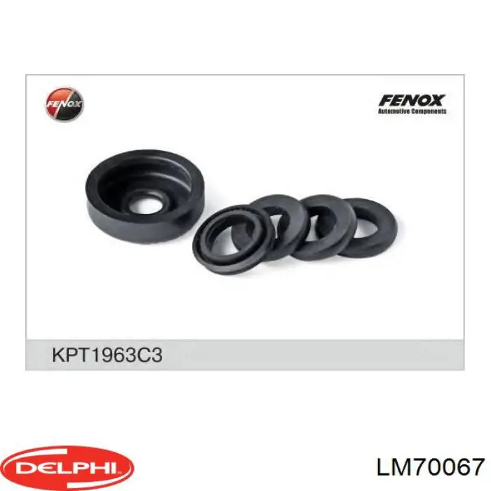 LM70067 Delphi