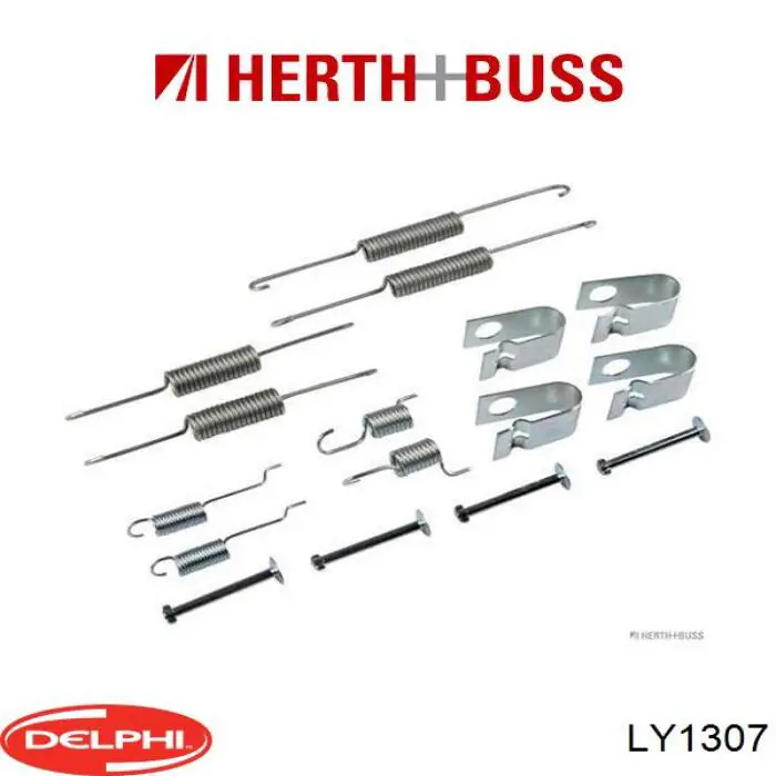 LY1307 Delphi