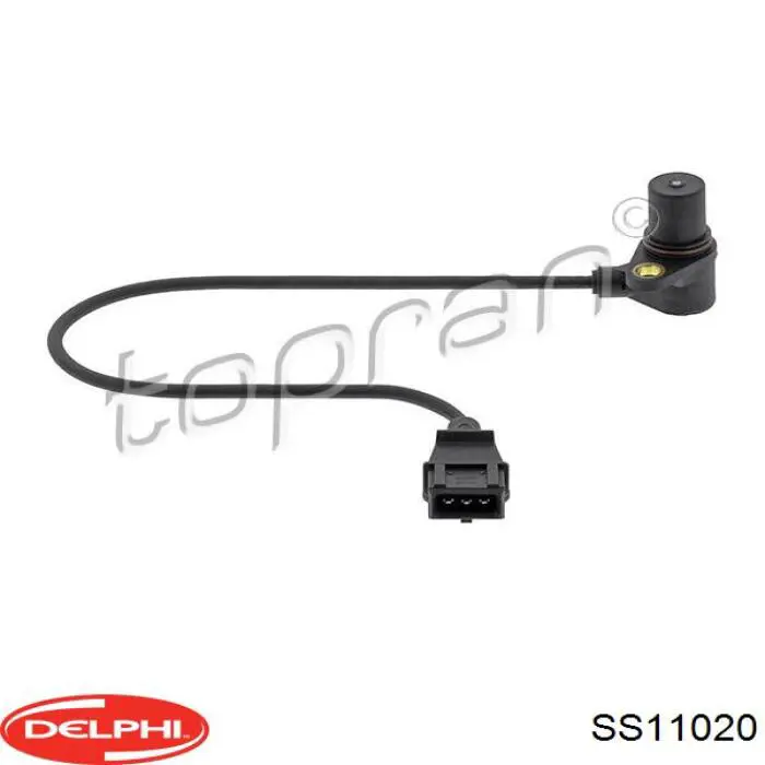 SS11020 Delphi