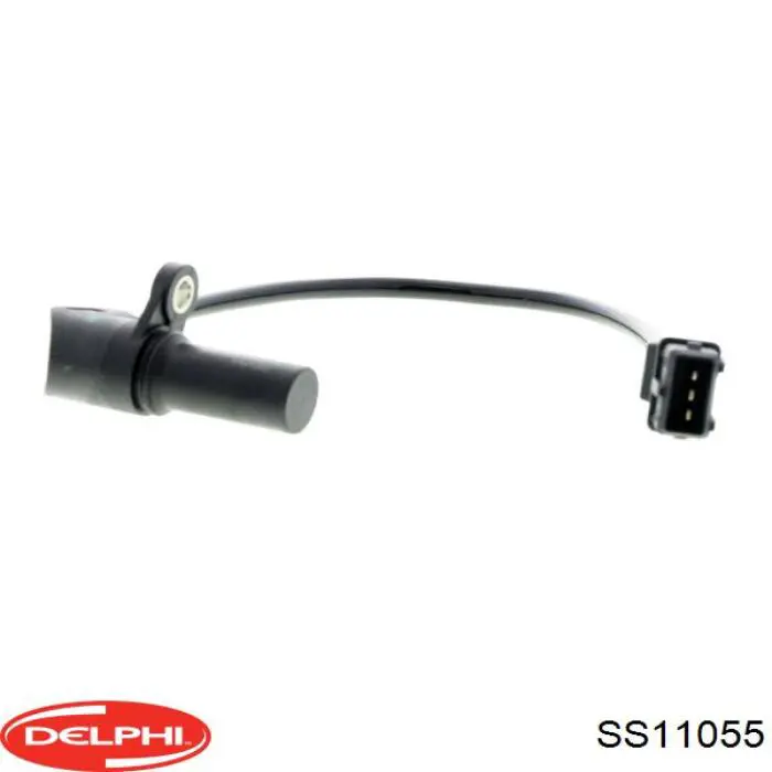 SS11055 Delphi