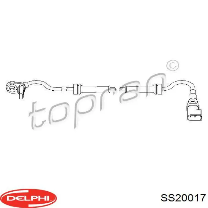 Sensor ABS delantero SS20017 Delphi