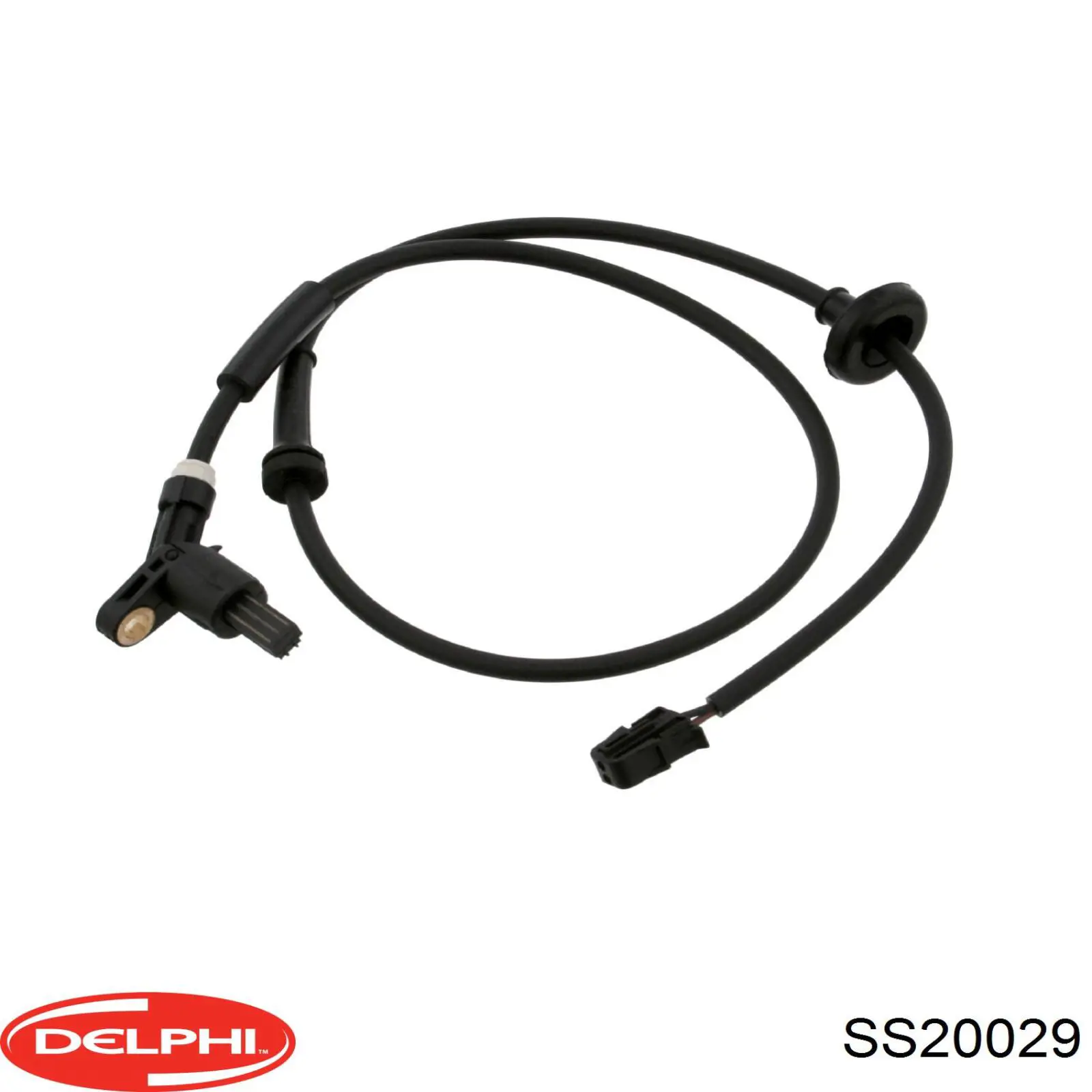 SS20029 Delphi