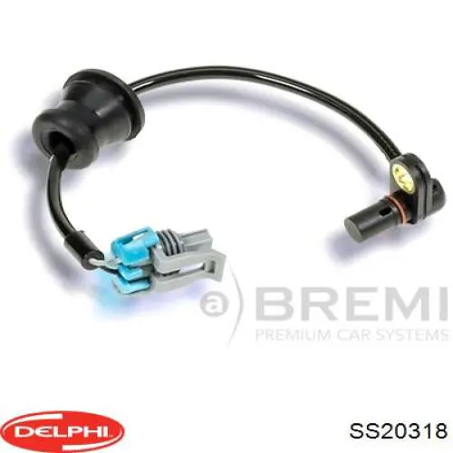 SS20318 Delphi