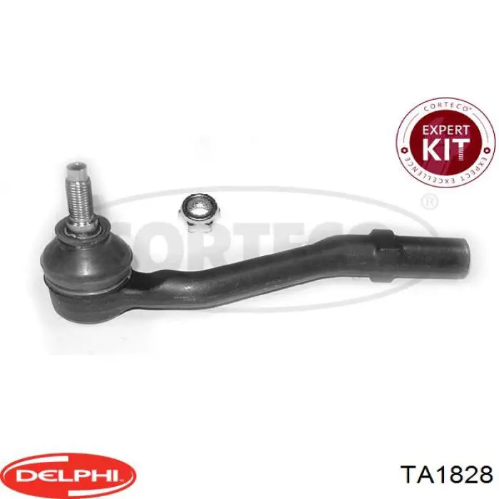 TA1828 Delphi