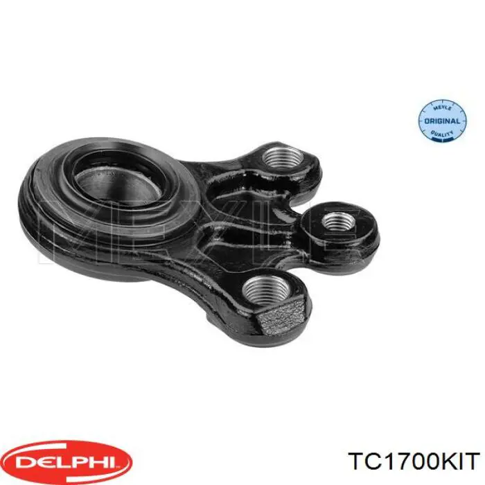 TC1700KIT Delphi