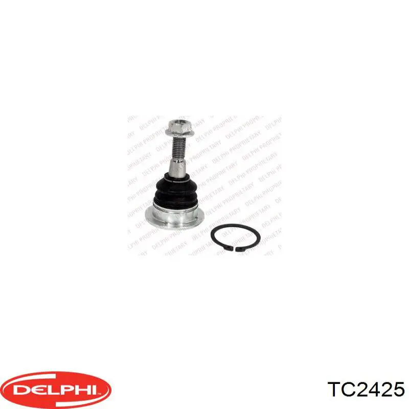 TC2425 Delphi