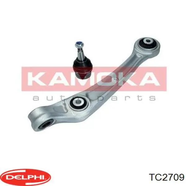 TC2709 Delphi