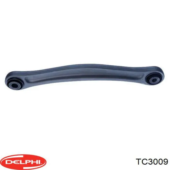 TC3009 Delphi