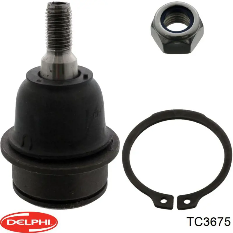 Шаровая опора, нижняя Delphi TC3675 цена, от 12.89 USD