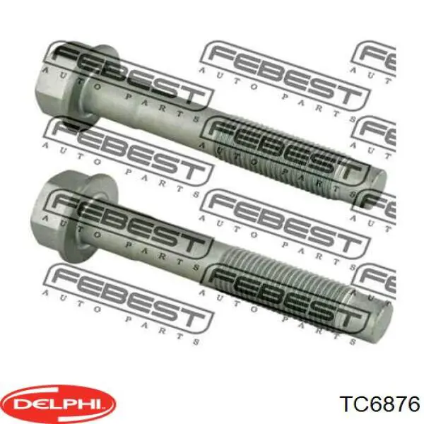 TC6876 Delphi