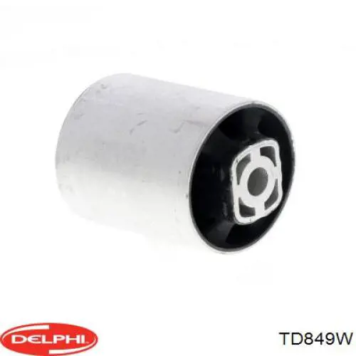 TD849W Delphi