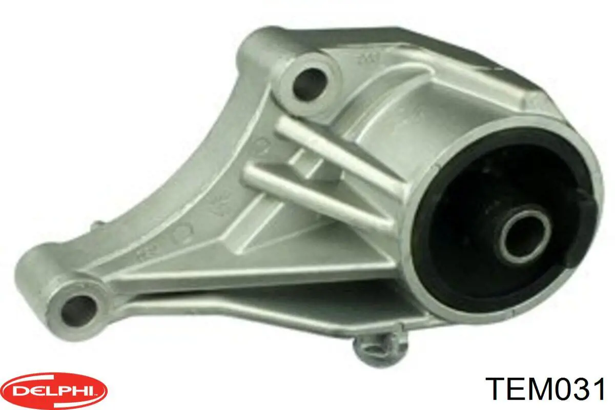 TEM031 Delphi
