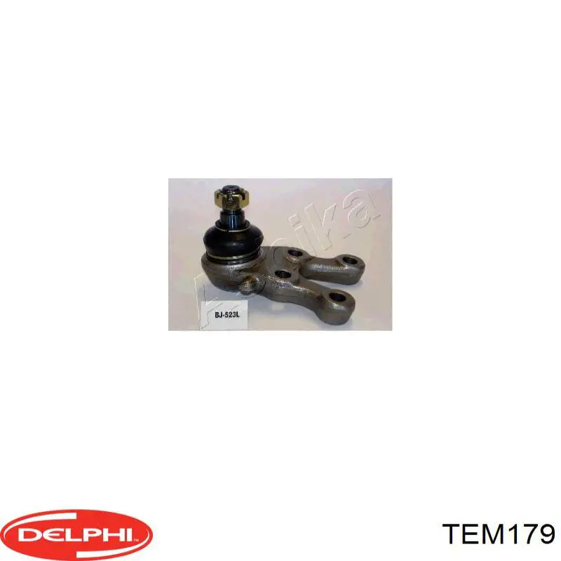 TEM179 Delphi подушка (опора двигателя задняя (сайлентблок))