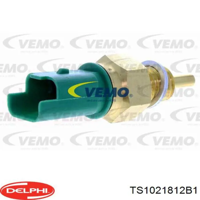 TS1021812B1 Delphi Термовыключатель
