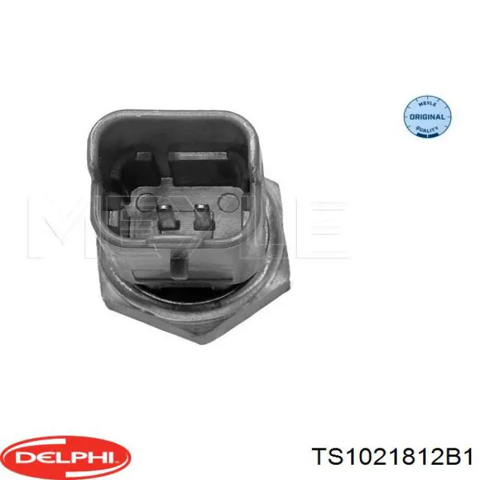 Купить TS1021812B1 Delphi Термодатчик охлаждающей жидкости