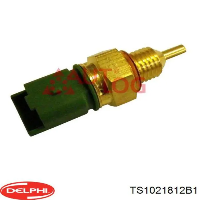 Купить TS1021812B1 Delphi Термодатчик охлаждающей жидкости