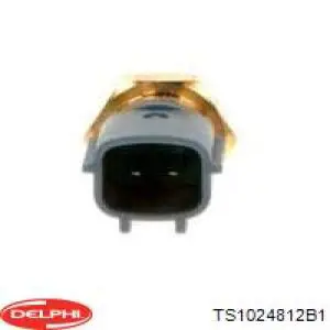 Датчик температуры жидкости Delphi TS1024812B1