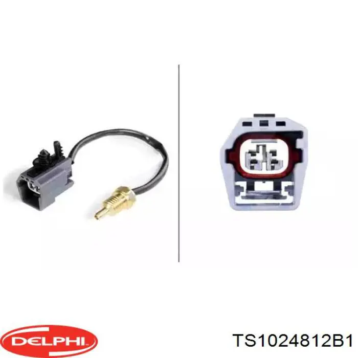 TS1024812B1 Delphi Термовыключатель